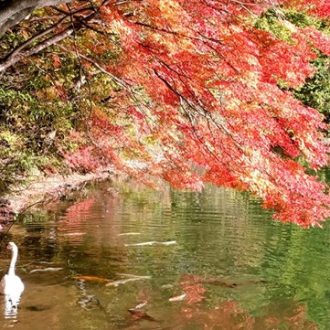 11／5放送後記：紅葉も美しい季節に～写真でぐるっと日本一周
